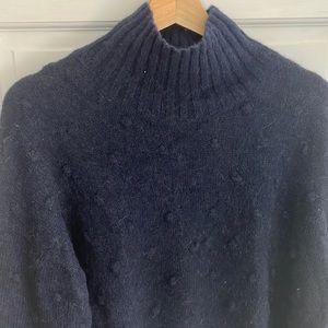 Everlane Alpaca Pom Pom Turtleneck